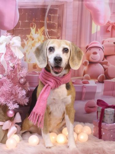 20241217ミツコちゃん